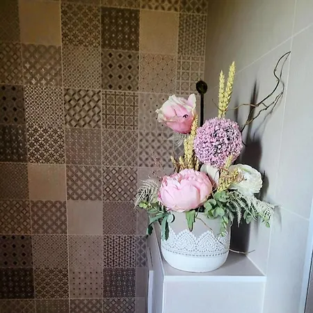 D'hote Chez Mimidid * Le Landreau